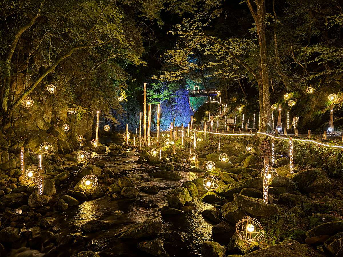 Bamboo Lantern Illumination 2025