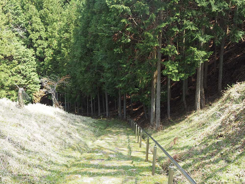 Path to Himeshi Myojin / 姫石明神への小道